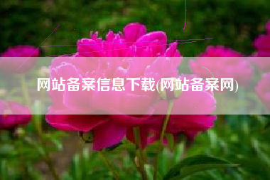 网站备案信息下载(网站备案网)