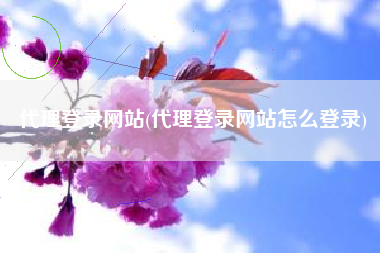 代理登录网站(代理登录网站怎么登录)