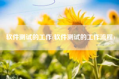 软件测试的工作(软件测试的工作流程)
