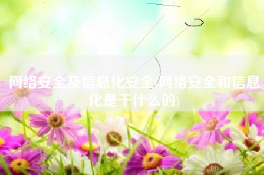 网络安全及信息化安全(网络安全和信息化是干什么的)