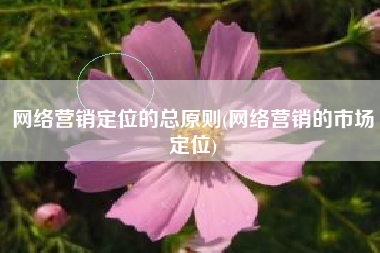 网络营销定位的总原则(网络营销的市场定位)