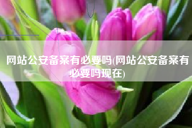 网站公安备案有必要吗(网站公安备案有必要吗现在)