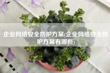 企业网络安全防护方案(企业网络安全防护方案有哪些)