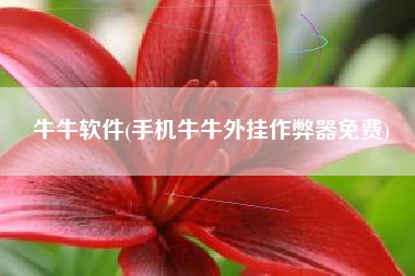 牛牛软件(手机牛牛外挂作弊器免费)