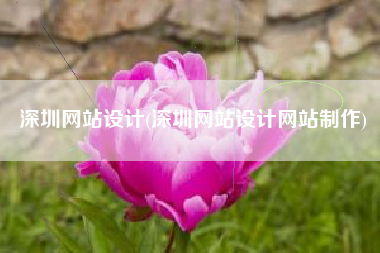 深圳网站设计(深圳网站设计网站制作)