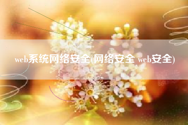 web系统网络安全(网络安全 web安全)