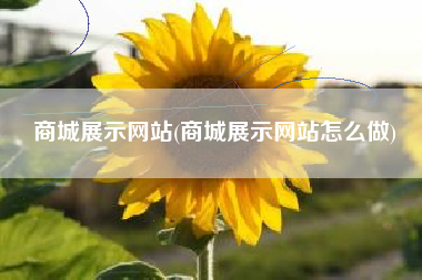 商城展示网站(商城展示网站怎么做)