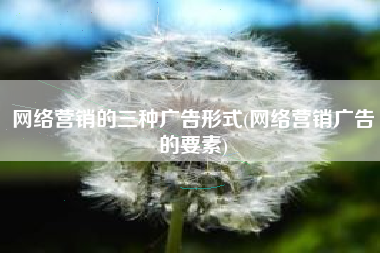 网络营销的三种广告形式(网络营销广告的要素)