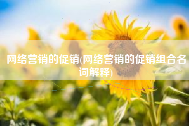 网络营销的促销(网络营销的促销组合名词解释)