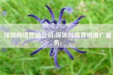 深圳网络营销公司(深圳网络营销推广服务)