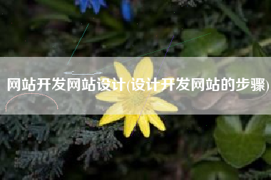 网站开发网站设计(设计开发网站的步骤)