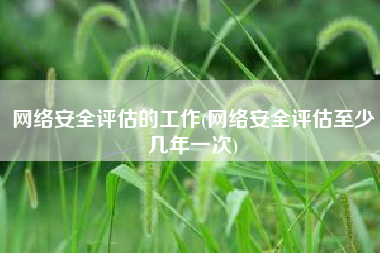 网络安全评估的工作(网络安全评估至少几年一次)