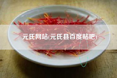 元氏网站(元氏县百度贴吧)