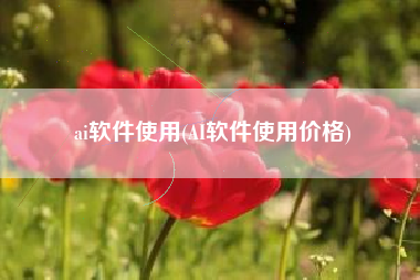 ai软件使用(AI软件使用价格)