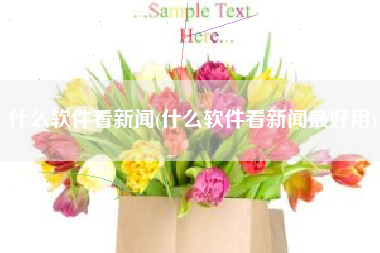 什么软件看新闻(什么软件看新闻最好用)