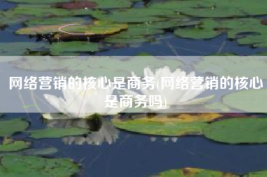 网络营销的核心是商务(网络营销的核心是商务吗)