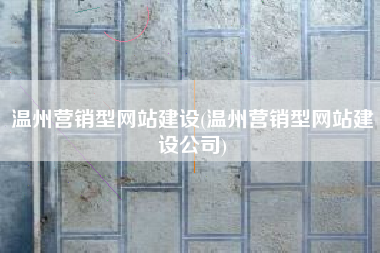 温州营销型网站建设(温州营销型网站建设公司)