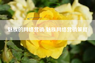 魅族的网络营销(魅族网络营销策略)