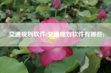 交通规划软件(交通规划软件有哪些)