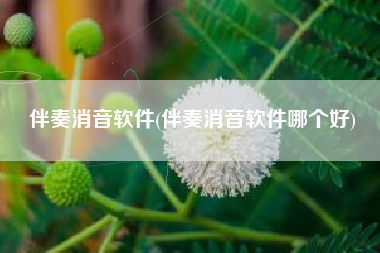 伴奏消音软件(伴奏消音软件哪个好)