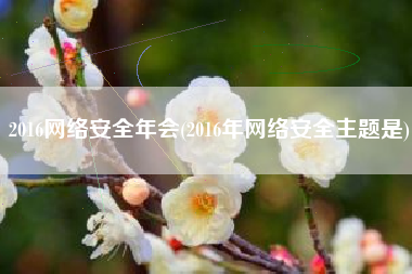 2016网络安全年会(2016年网络安全主题是)