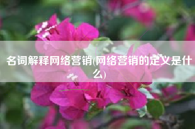 名词解释网络营销(网络营销的定义是什么)