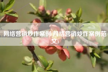 网络营销炒作案例(网络营销炒作案例范文)