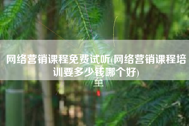 网络营销课程免费试听(网络营销课程培训要多少钱哪个好)