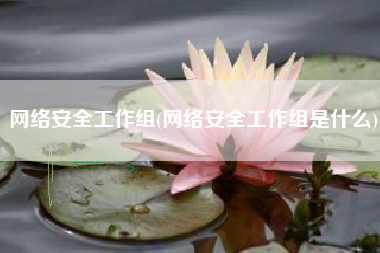 网络安全工作组(网络安全工作组是什么)