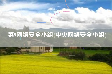 第9网络安全小组(中央网络安全小组)