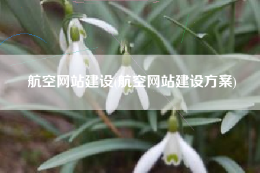 航空网站建设(航空网站建设方案)