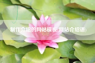 制作介绍的网站模板(网站介绍语)