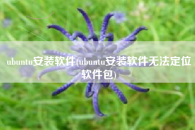 ubuntu安装软件(ubuntu安装软件无法定位软件包)