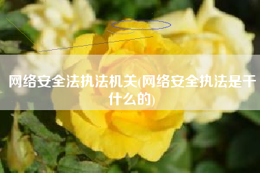 网络安全法执法机关(网络安全执法是干什么的)