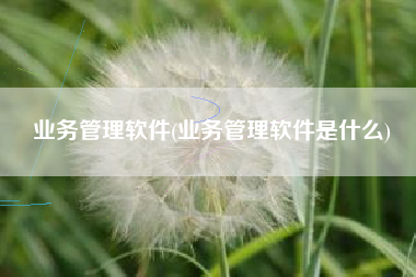 业务管理软件(业务管理软件是什么)