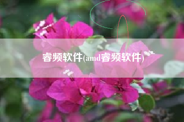 睿频软件(amd睿频软件)