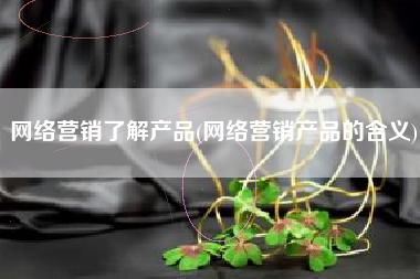 网络营销了解产品(网络营销产品的含义)