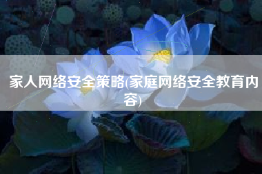 家人网络安全策略(家庭网络安全教育内容)