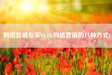 网络营销专家V6.18(网络营销的八种方式)