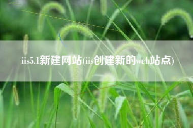 iis5.1新建网站(iis创建新的web站点)
