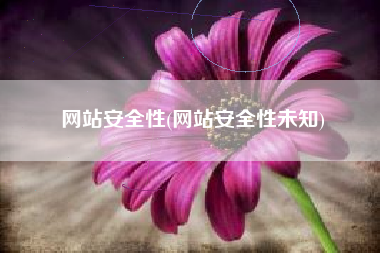 网站安全性(网站安全性未知)