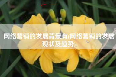 网络营销的发展背景有(网络营销的发展现状及趋势)