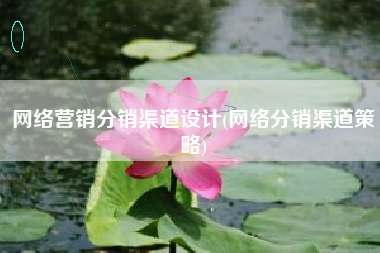 网络营销分销渠道设计(网络分销渠道策略)