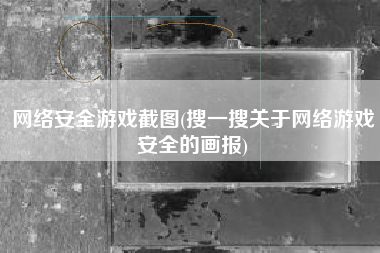 网络安全游戏截图(搜一搜关于网络游戏安全的画报)
