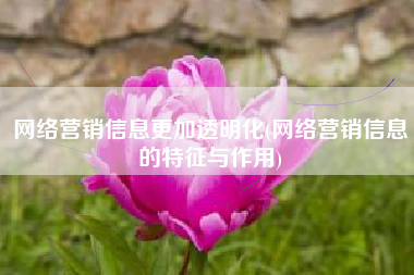网络营销信息更加透明化(网络营销信息的特征与作用)