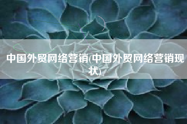 中国外贸网络营销(中国外贸网络营销现状)