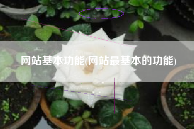 网站基本功能(网站最基本的功能)