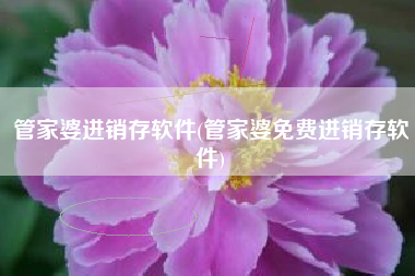 管家婆进销存软件(管家婆免费进销存软件)