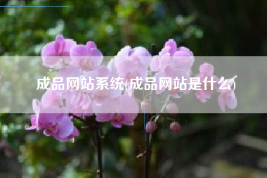成品网站系统(成品网站是什么)