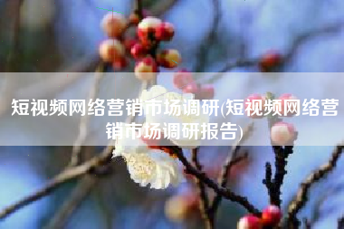 短视频网络营销市场调研(短视频网络营销市场调研报告)